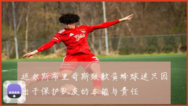 迈尔斯布里奇斯致歉黄蜂球迷只因出于保护队友的本能与责任