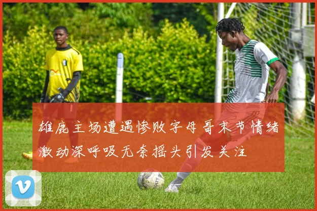 雄鹿主场遭遇惨败字母哥末节情绪激动深呼吸无奈摇头引发关注
